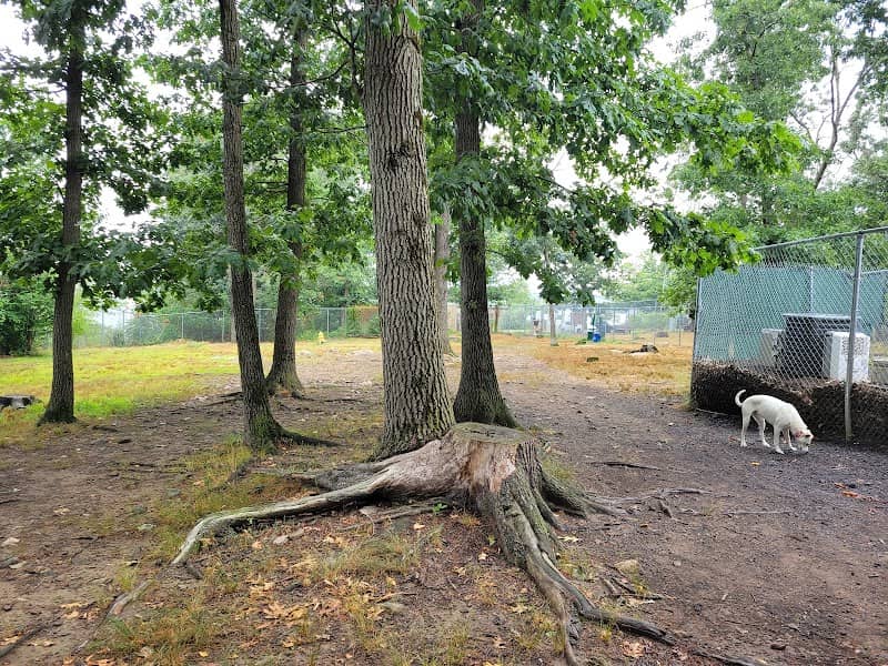 Beverly Dog Park - Image 2