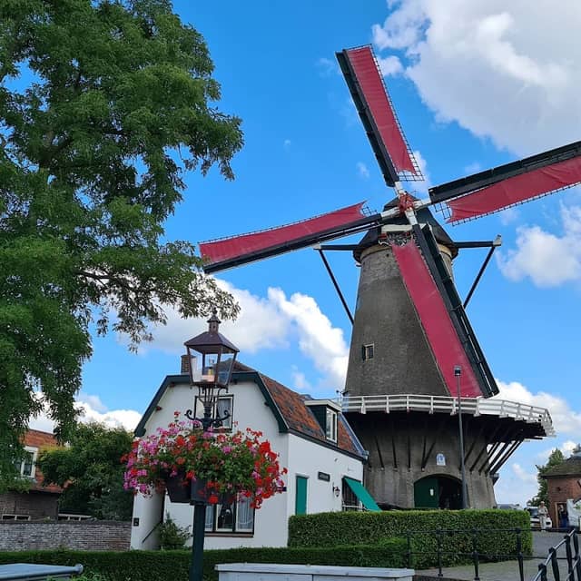 Molen de Windotter - Image 1