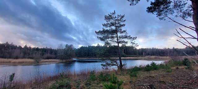 Wieselse Plas - Image 1