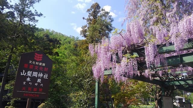 Yamanashioka Shrine - Image 2