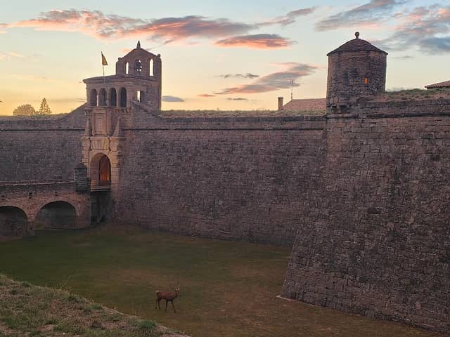 Glacis de la Ciudadela - Image 1