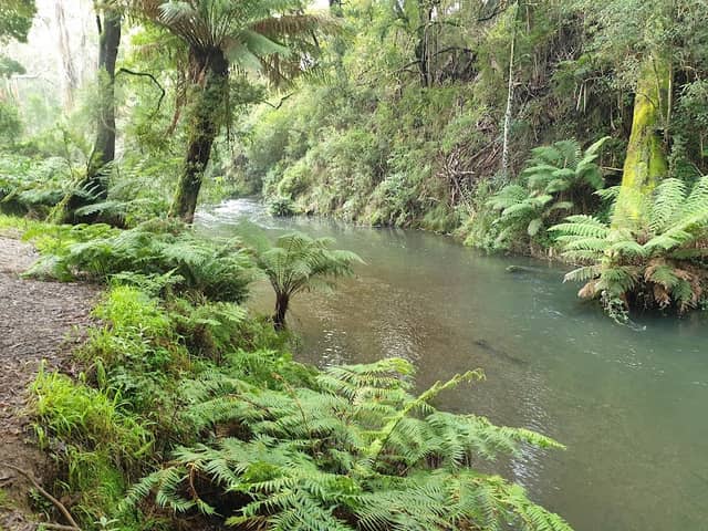 Barham Paradise Scenic Reserve - Image 1