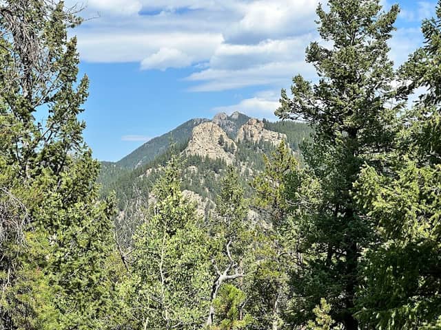 Beaver Trail - Image 1
