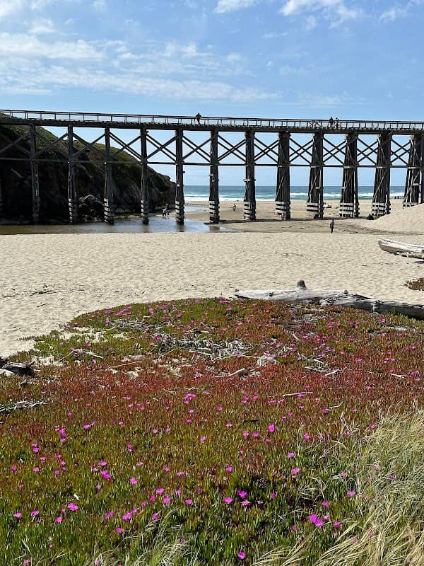 Pudding Creek Beach - Image 2