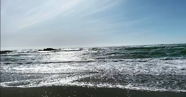 Pudding Creek Beach - Image 3