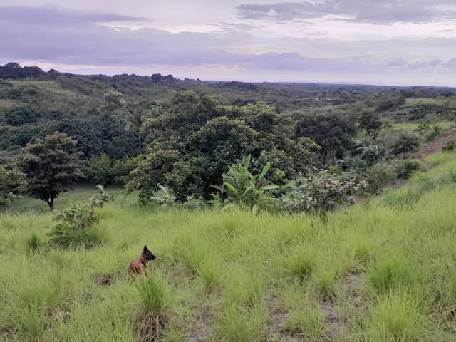El Copé, El Higo - Image 1