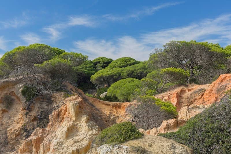 Praia das Salamitras - Image 3