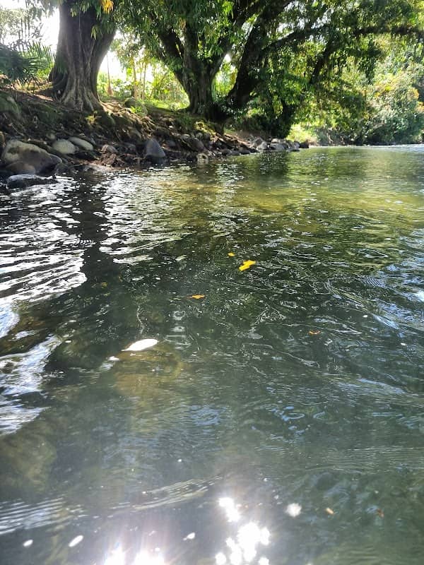 Balneario Las Orquídeas - Image 1