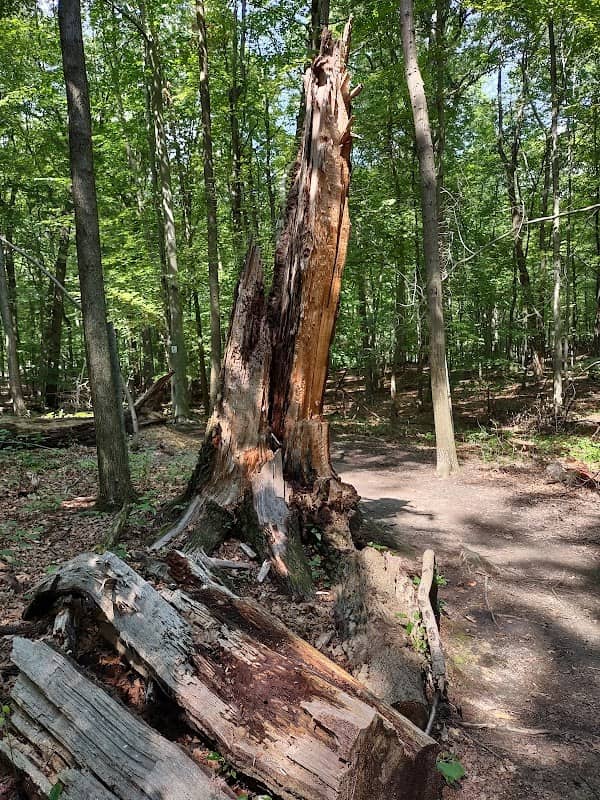 Cleveland Metroparks - Image 1