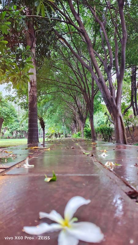 Park 2 sigma 3 - Image 2
