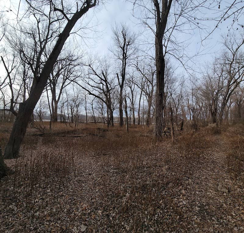 Bellrose Island - Image 2