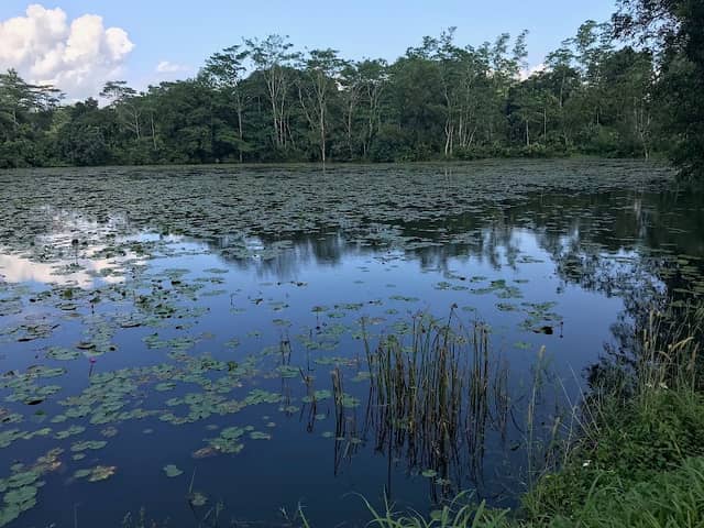 Maramba Lake - Image 1