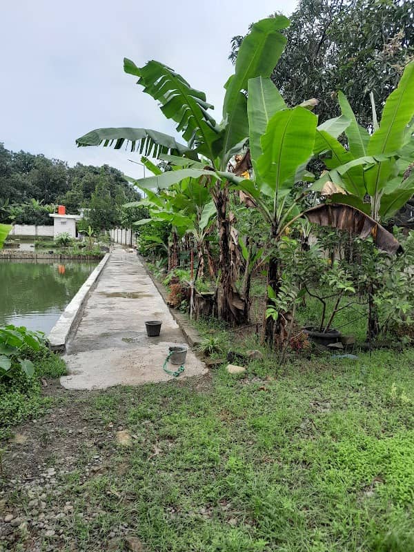 Vila wandi - Image 1