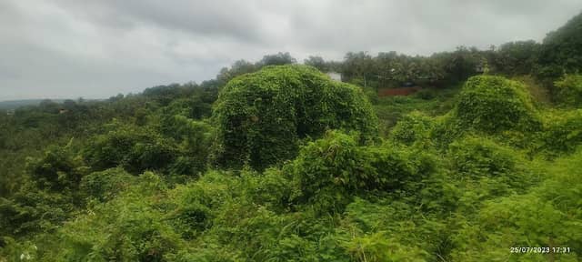 Chappangadi View Point - Image 1