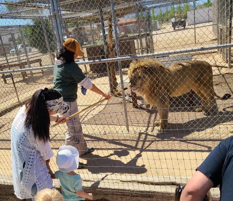 The Hesperia Zoo - Image 2