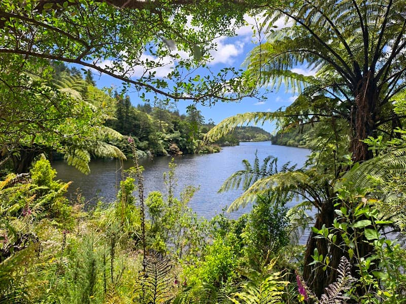 Lookout - Image 1