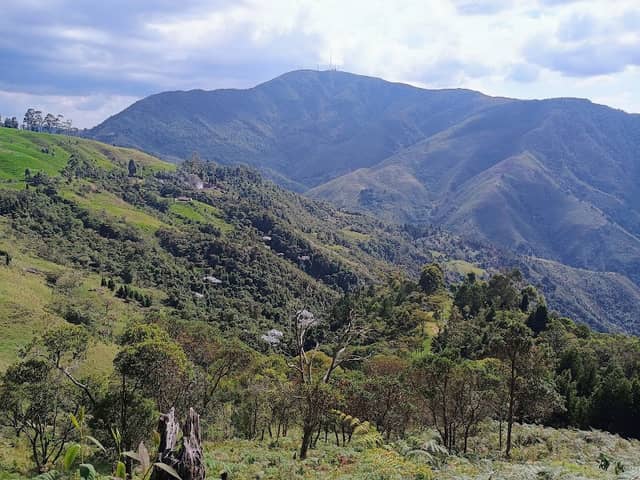 Boquerón - Image 1