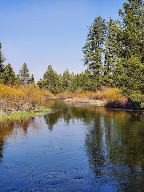 Leona Park - Image 1
