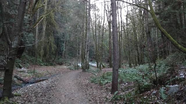 Catalina Park - Image 1