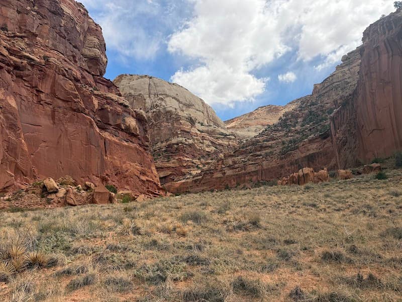 Pleasant Creek Trailhead - Image 1