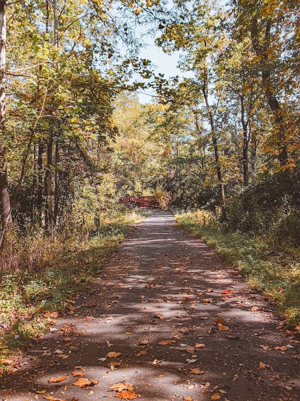 McCarthy Park - Image 1