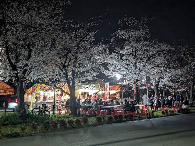 桜並木通り(博多区西春町) - Image 1