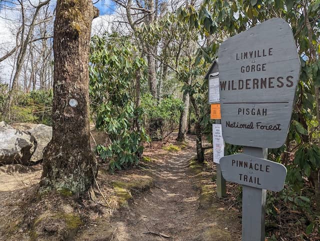 Linville Gorge - Image 3