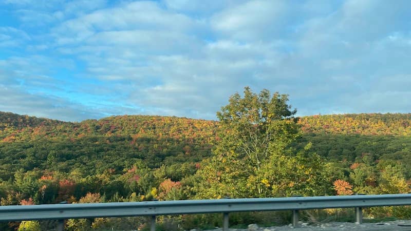 Moshannon State Forest - Image 1