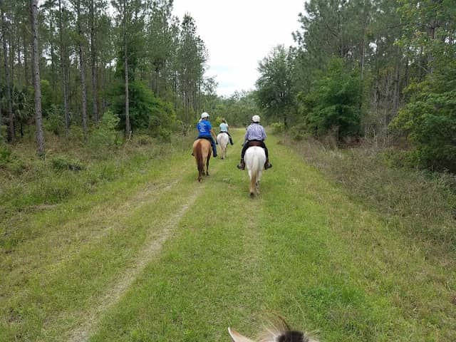 Silver Springs Forest Conservation Area Equestrian Trail - Image 2