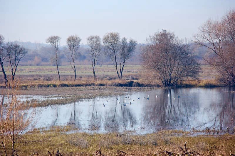 Parque da Boca do Carreiro - Image 1
