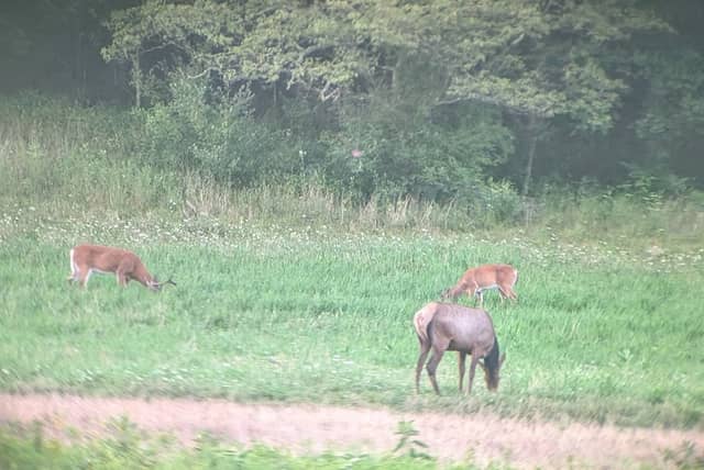 Hoover Farm Wildlife Viewing Area - Image 1