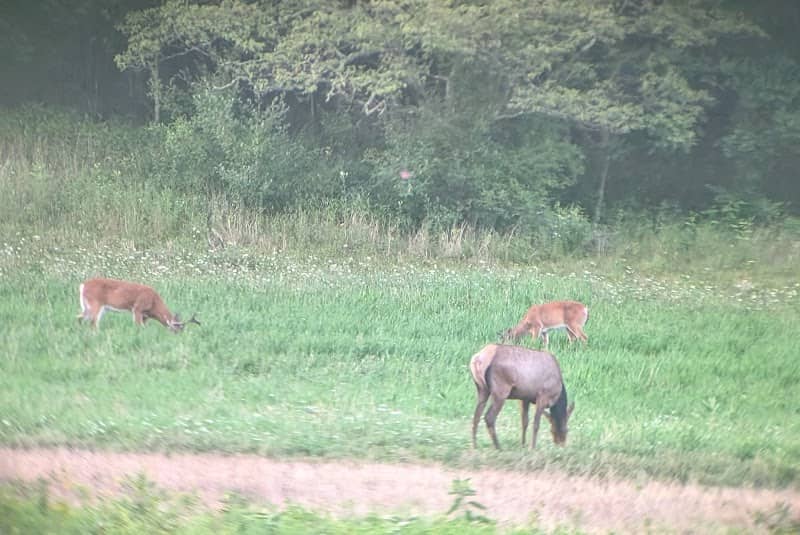 Hoover Farm Wildlife Viewing Area - Image 1