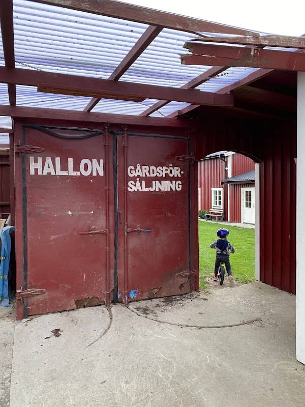 Hallongården Trelleborg - Image 1