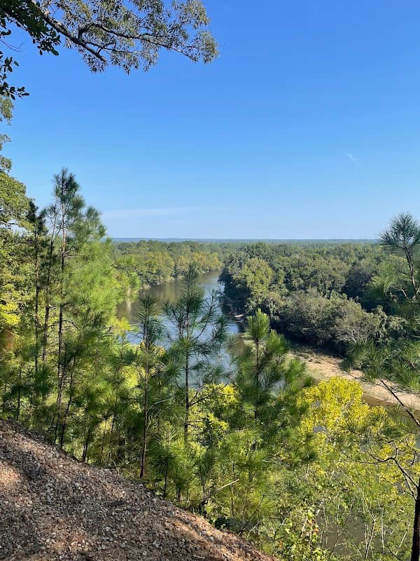 Desoto Bluff Trail - Image 1