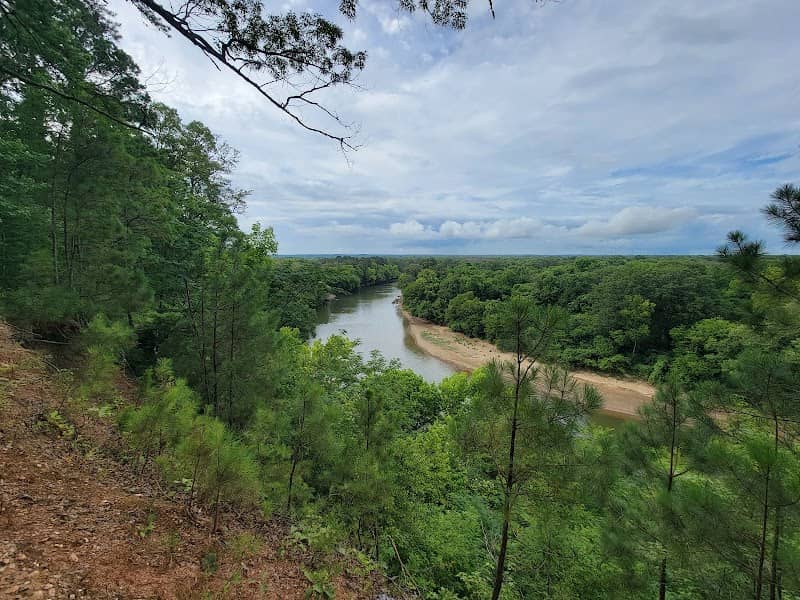 Desoto Bluff Trail - Image 2