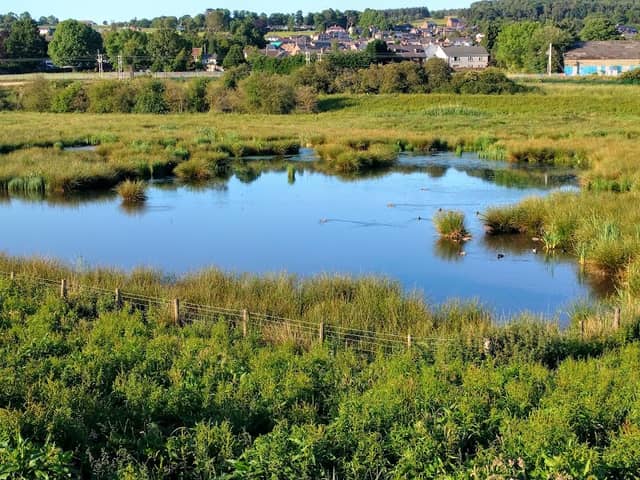 Thacka Beck Nature Reserve - Image 1