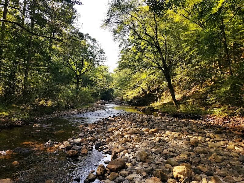 Eagle Rock Loop - Image 3