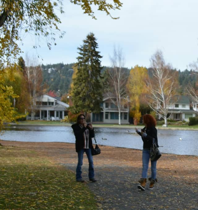 Three Pines Park - Image 2
