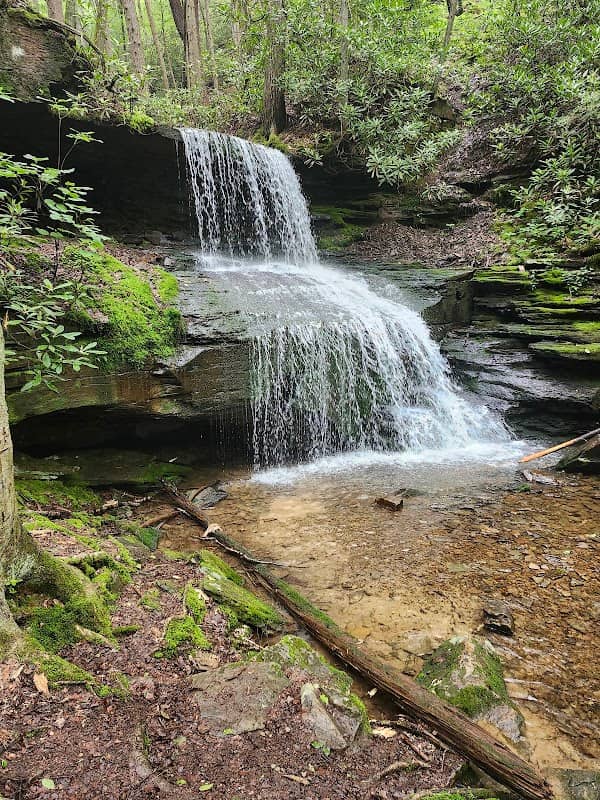 Round Island Falls Trailhead - Image 1