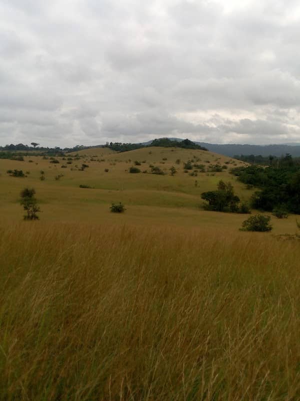 Booué - Image 1