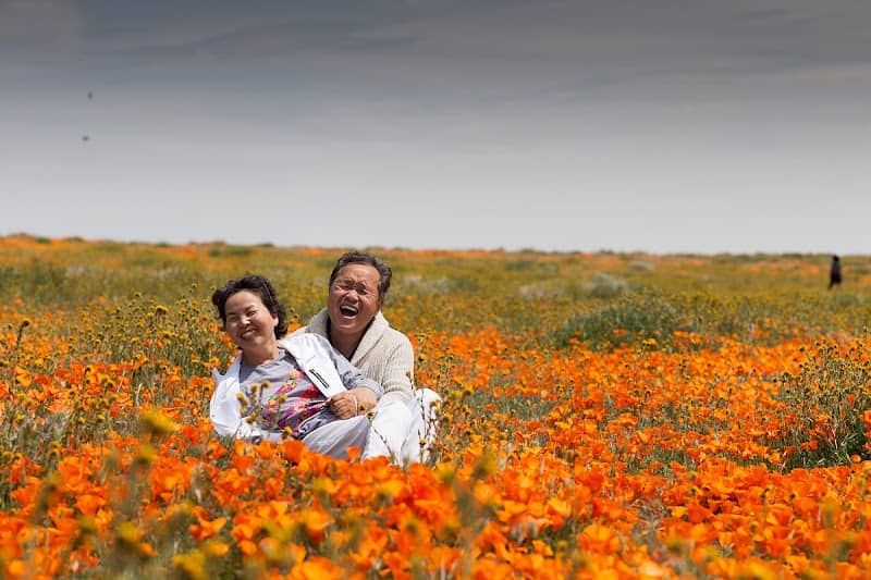 Antelope Valley - Image 5