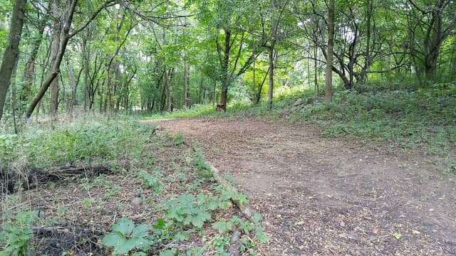 Weschcke Park - Image 3
