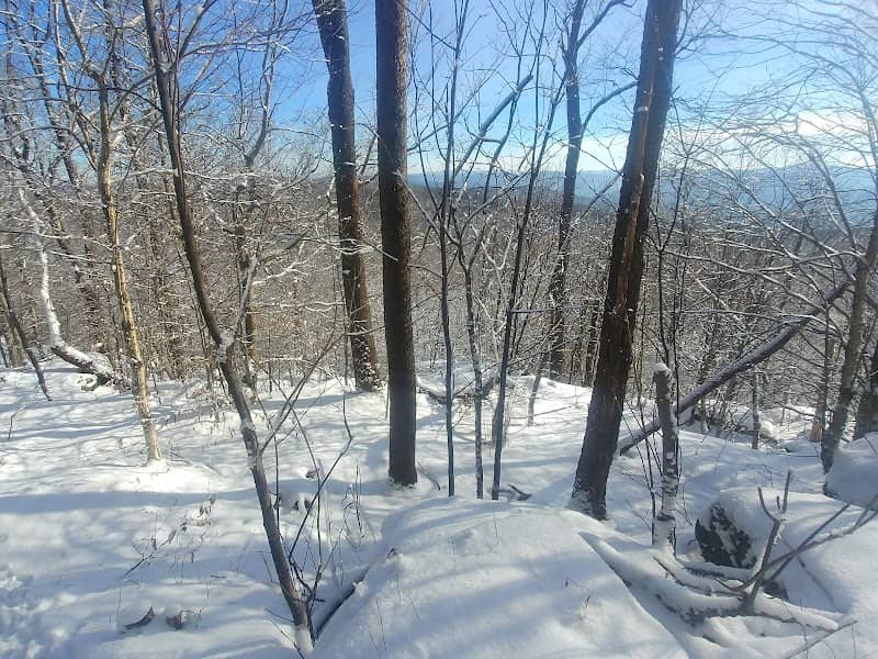 Finger Lakes Trail - Image 1