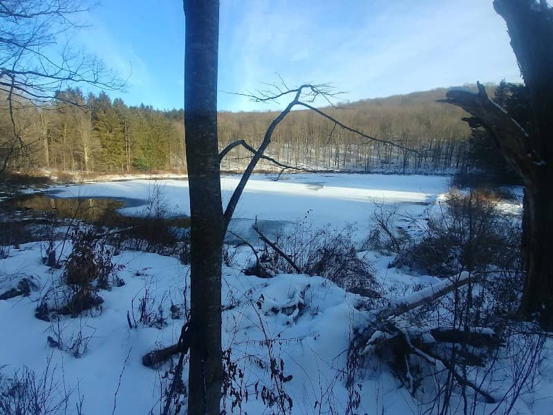 Finger Lakes Trail - Image 2