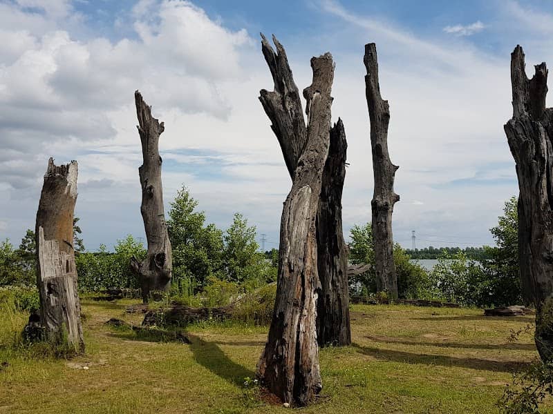 Bomenmonument - Image 1
