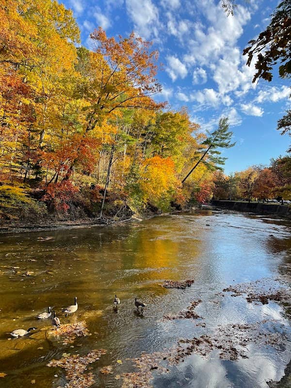North Mastic Picnic Area, Rocky River Reservation - Image 2