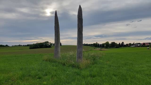 "Dorne" Holzskulptur von Rainer Strege - Image 1