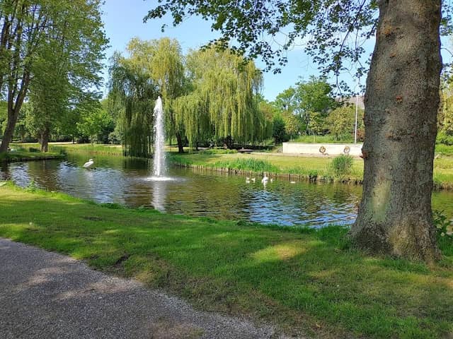 Wilhelminapark - Image 1