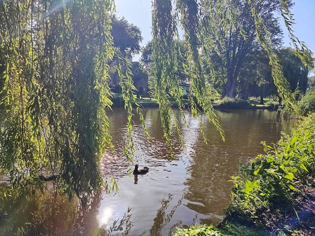 Wilhelminapark - Image 2
