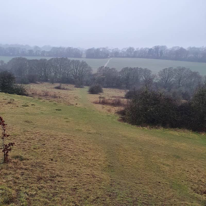 Catherington Down - Image 1